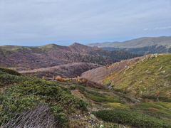 Грузия, Аджария